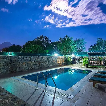 Βίλα Levissi Villas 1 *