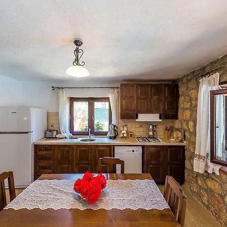 Levissi Villas 1 * Φετιγιέ